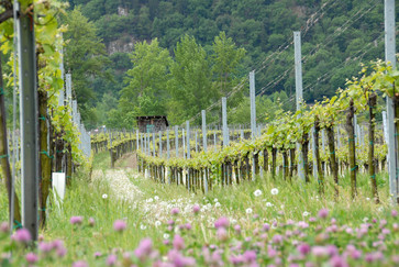 [1639732960006135.jpg]