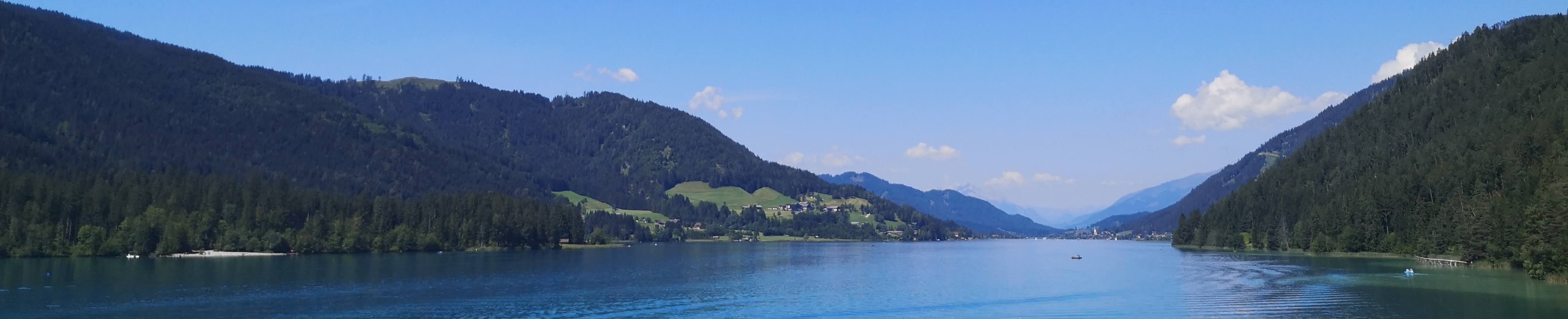 Weis © LFI Kärnten Weis © LFI Kärnten