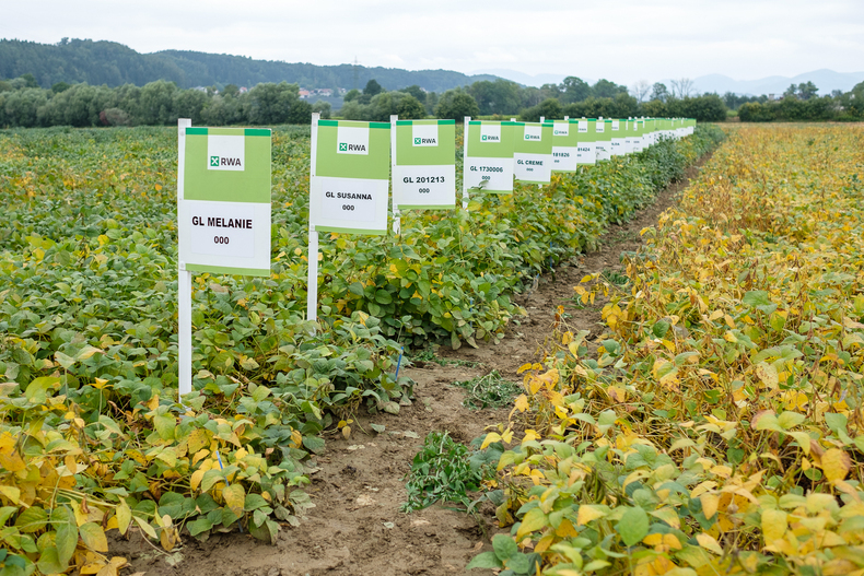 FARMINAR Pflanzenzüchtung