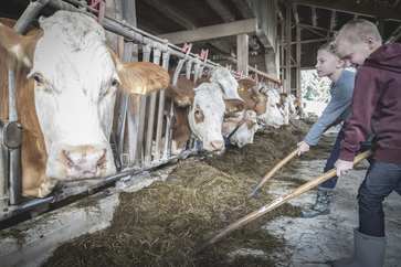 [1693376794699470.jpg]