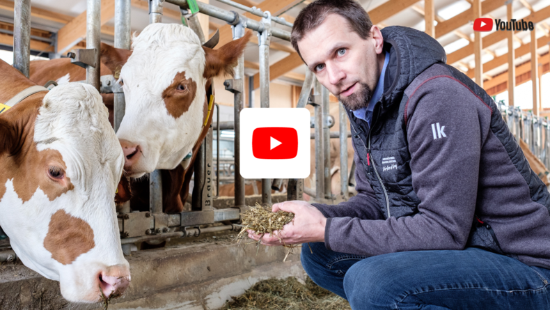 Youtube Video Arbeitskreis Milchproduktion.png