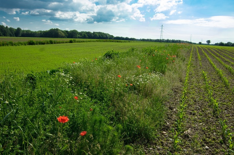 DIV Acker.jpg DIV Acker.jpg