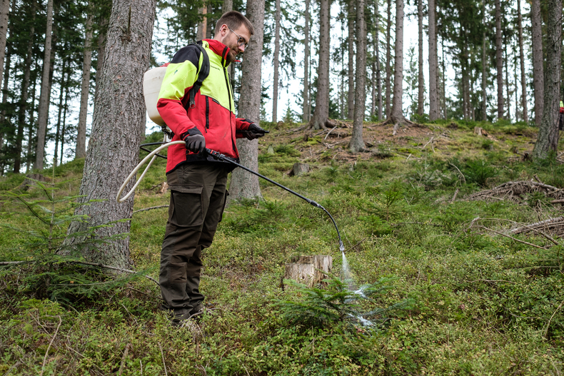 LFI-FARMINAR Verbissschutz.jpg LFI-FARMINAR Verbissschutz.jpg