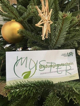 [1702387170307671.jpg]