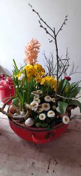 [1706607579092538.jpg]