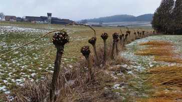 [1706624112752469.jpg]