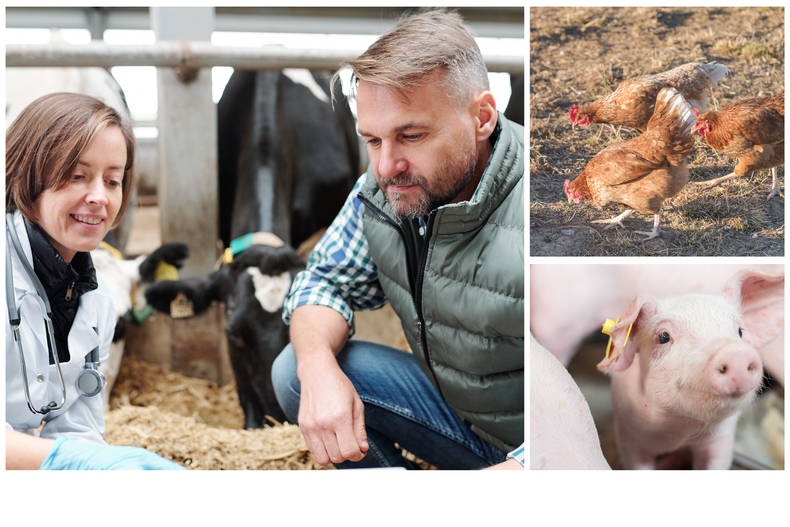 TGD-Themenfoto.jpg TGD-Themenfoto.jpg