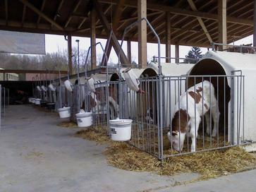 [1708505551611546.jpg]