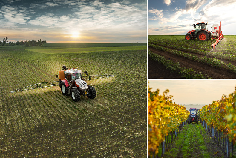 Collage Themenseite Pflanzenschutz 23-02-24.jpg Collage Themenseite Pflanzenschutz 23-02-24.jpg