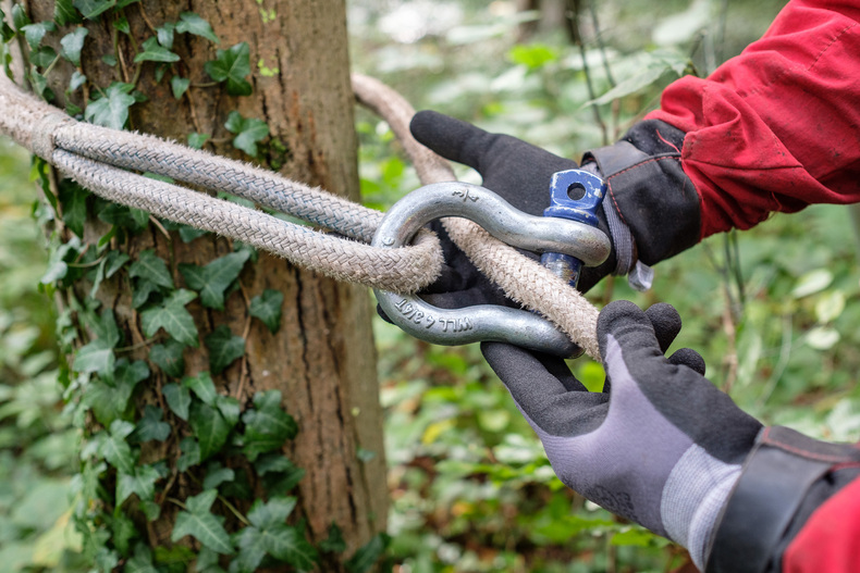 LFI FARMINAR - Seilgestützte Fällung.jpg LFI FARMINAR - Seilgestützte Fällung.jpg
