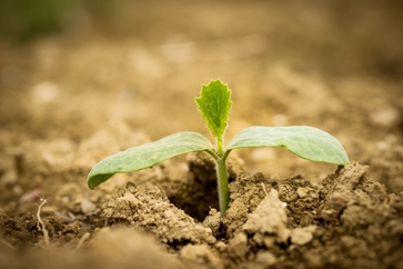 [1732107421300684.jpg]