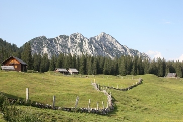 [1751354009553439.jpg]