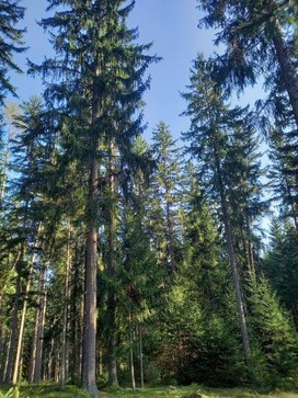 [1753089003887856.jpg]