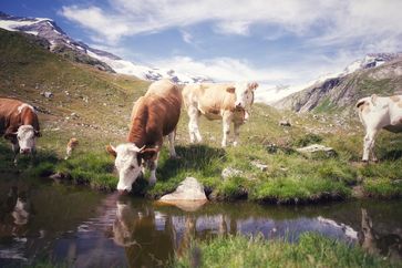 [1756193066739721.jpg]