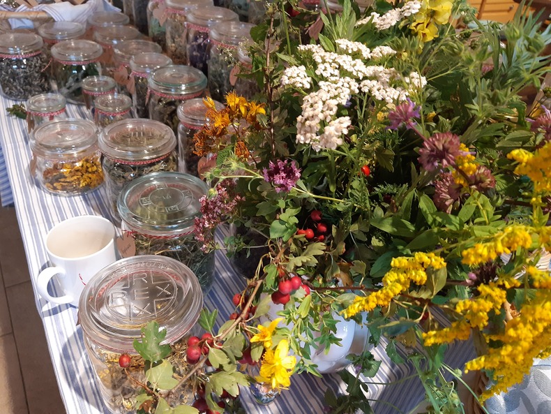 Auf einem Tisch stehen verschiedene Einmachgläser, gefüllt mit getrockneten Wildpflanzen. Davor ein Blumenstrauß aus Wildkräutern.