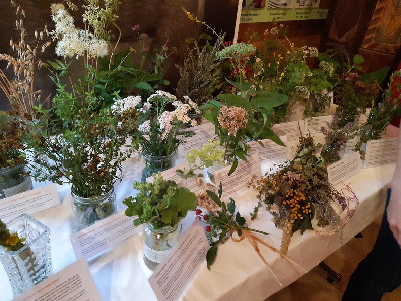 Auf einem dekorierten Tisch stehen mehrere Vasen mit verschiedenen Wildkräutern. Auf einem dekorierten Tisch stehen mehrere Vasen mit verschiedenen Wildkräutern.