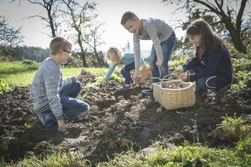 [1759230229781824.jpg]