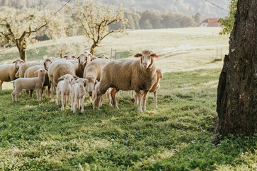 [1759753103631122.jpg]