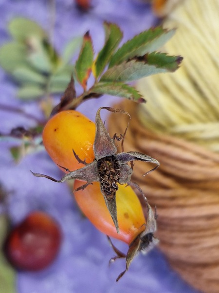 ok 20250925 151153.jpg