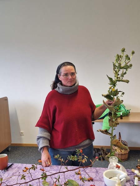 ok 20250925 153615.jpg