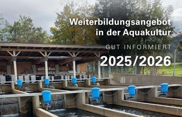 [1761632210628848.jpg]