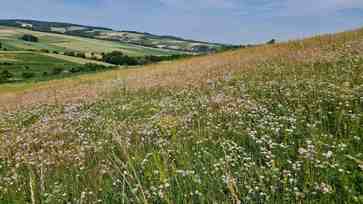 [1761729611973757.jpg]