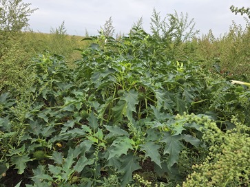 [1761731842784953.jpg]