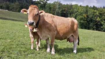 [1761737247224276.jpg]