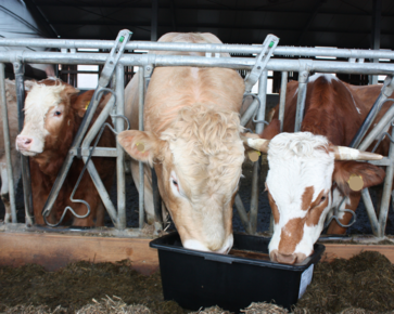 [1761739653289319.png]