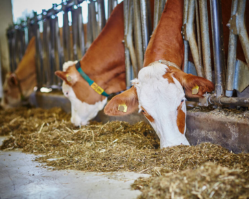 [1761741643081924.png]