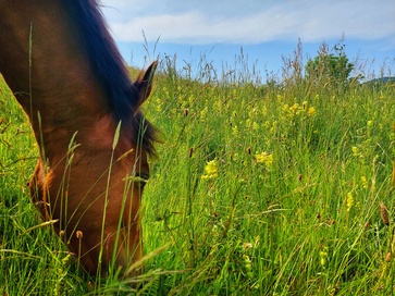 [1761744331753640.jpg]