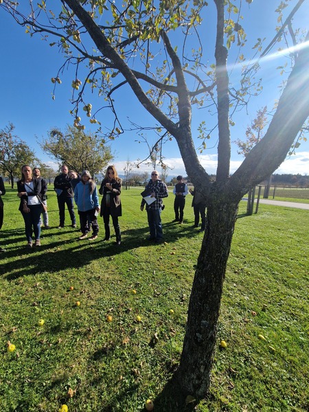 ok 20251016 134606.jpg