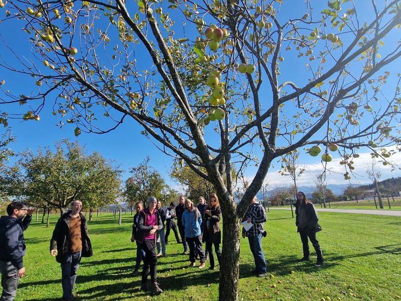 ok 20251016 134643.jpg