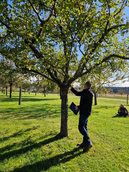 ok 20251016 140307.jpg