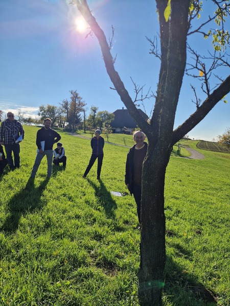 ok 20251016 141759.jpg