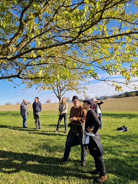 ok 20251016 152638.jpg