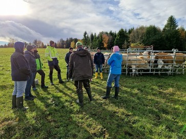 [1761824917375533.jpg]