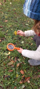 [1762328147326812.jpg]