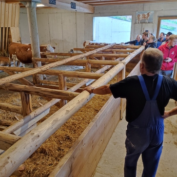 [1762437221780531.jpg]