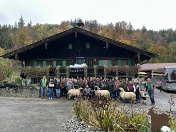 [1762504739512339.jpg]