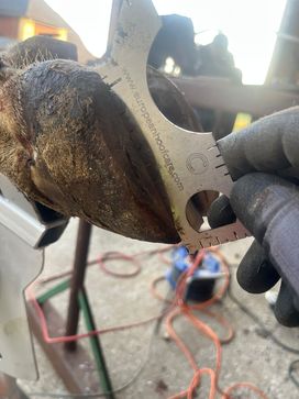 [1762766285430216.jpg]