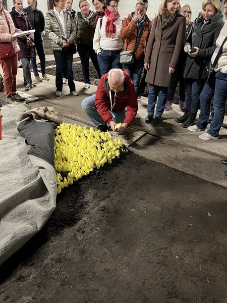 Brüssel 2025 c Ines Jernej 6.jpg Brüssel 2025 c Ines Jernej 6.jpg