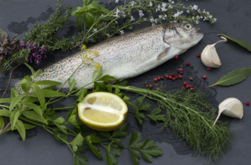 [1762935698736491.png]