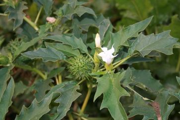 [1762942130637690.jpg]