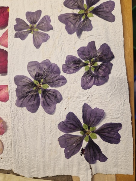 ok 20251107 140224.jpg