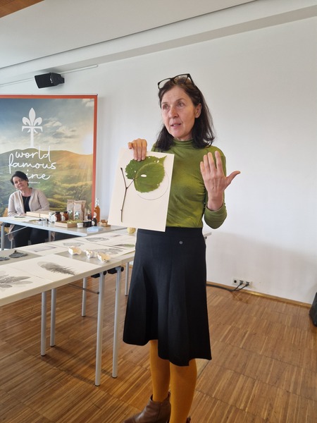 ok 20251105 100858.jpg