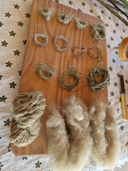 ok 20251105 114054.jpg