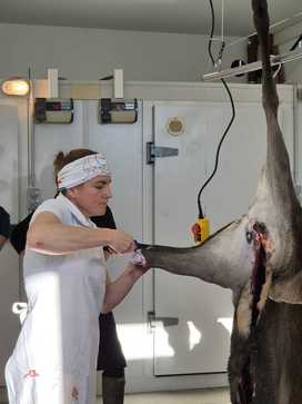 [1763041990997599.jpg]