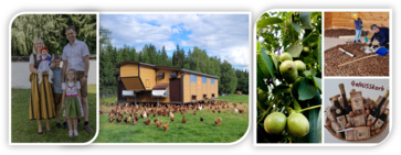 [1763108670644868.png]