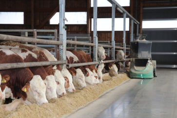 [1763561987261528.png]